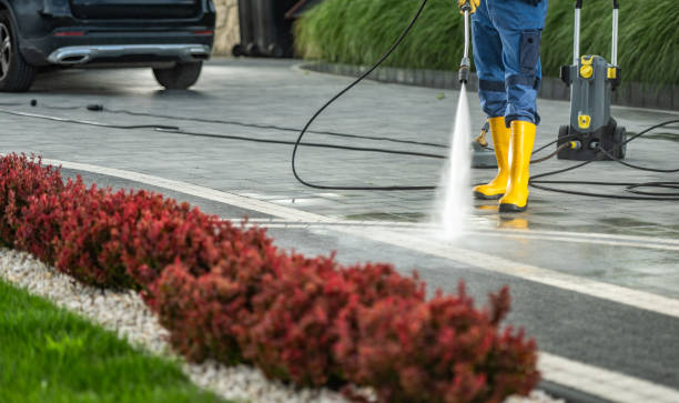 Best Exterior Home Cleaning  in Casey, IL