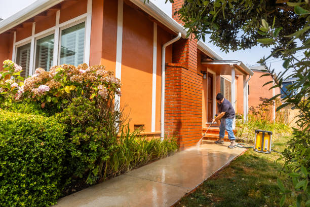 Best Roof Pressure Washing  in Casey, IL