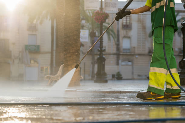 Best Deck Cleaning Services  in Casey, IL