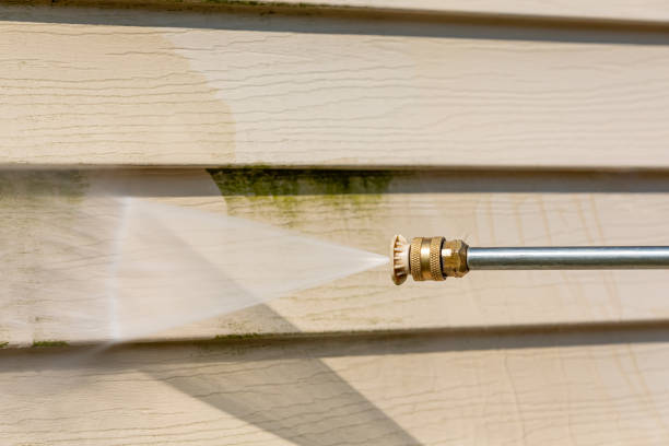 Best Exterior Home Cleaning  in Casey, IL
